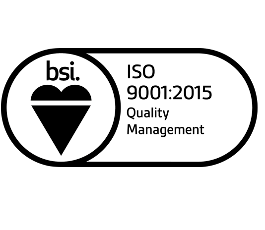 BSI Logo